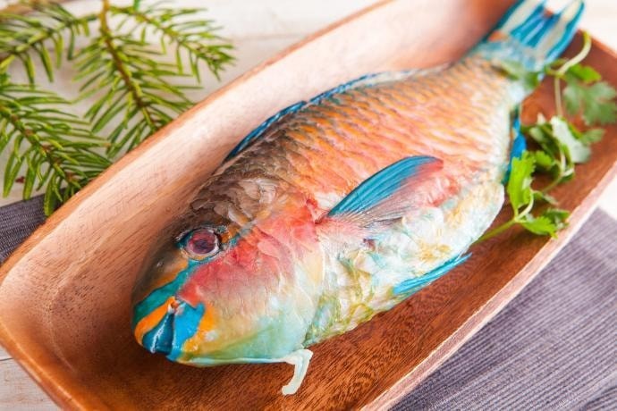 青衣鱼排xl五片装